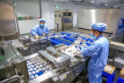 華蘭生物董事長安康 研發不斷前行，新型疫苗與生物制品蓄勢待發