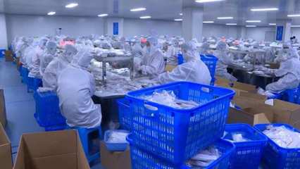 燃起來(lái) | “虎”力全開 生物制品生產(chǎn)的“開工即決戰(zhàn)”之路