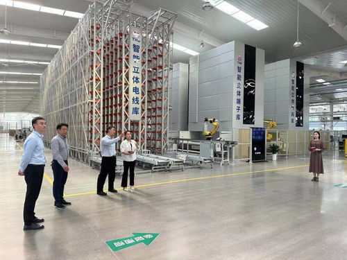 鶴壁經(jīng)濟(jì)技術(shù)開(kāi)發(fā)區(qū)開(kāi)展“一起益企”中小企業(yè)信息技術(shù)咨詢(xún)服務(wù)活動(dòng)